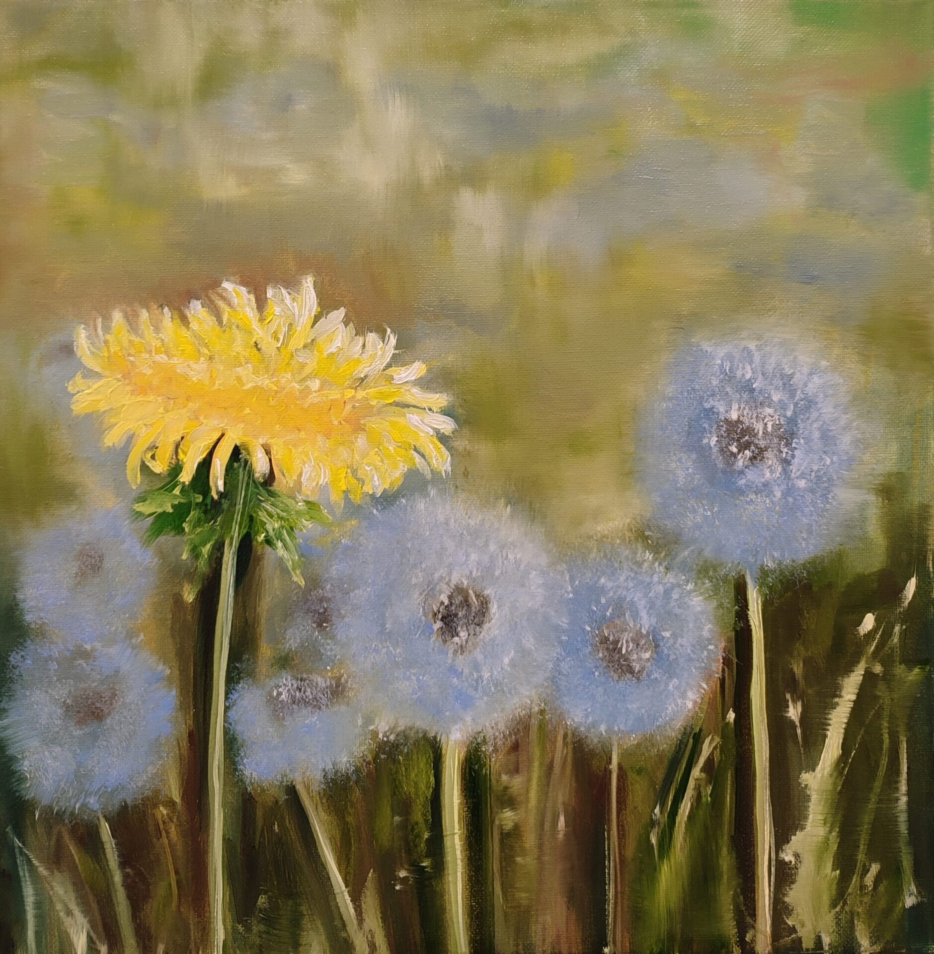 Dancing Dandelions