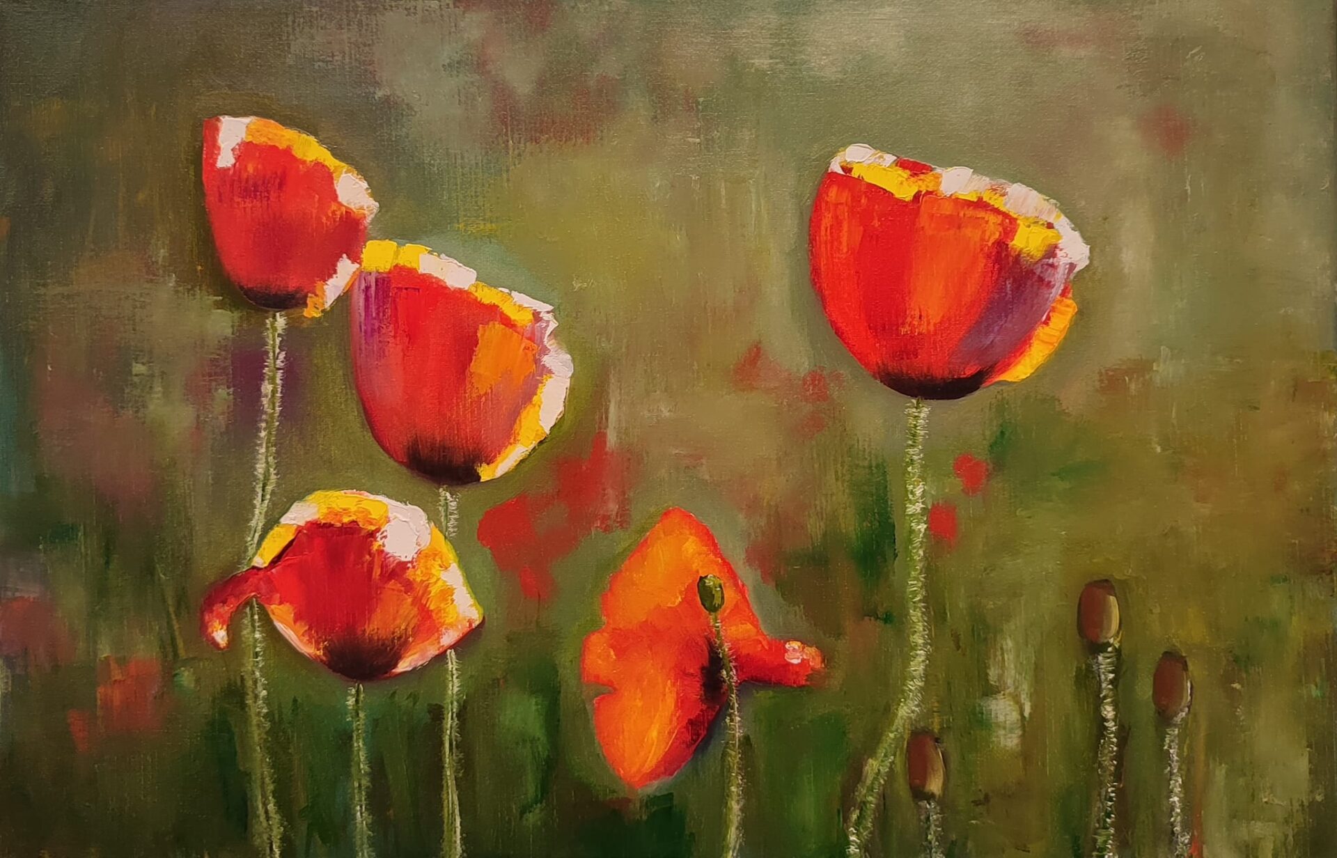 Dancing poppies