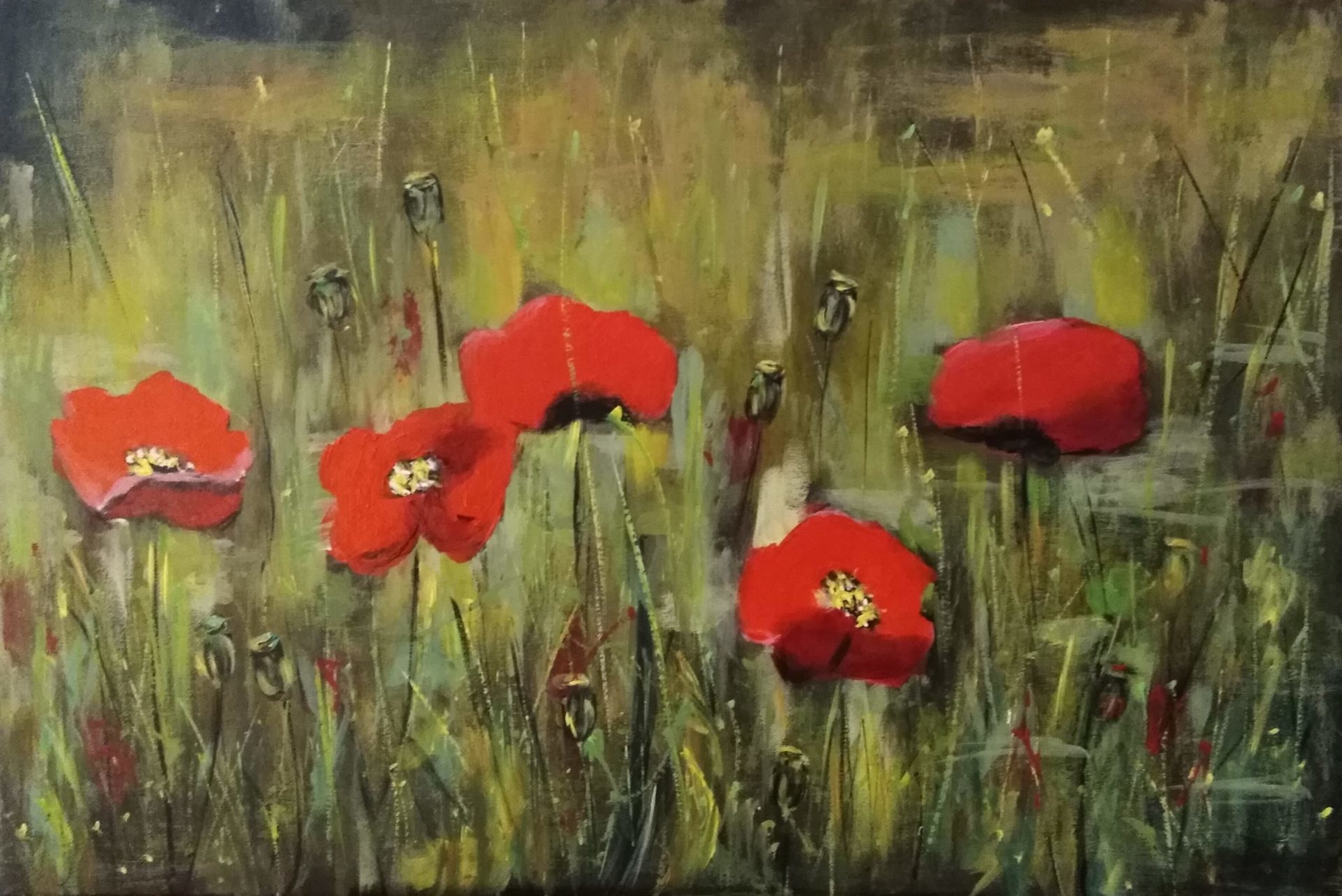 Poppy Field